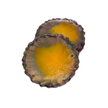 Load image into Gallery viewer, Stargate Multicolour Resin Coasters